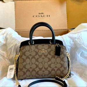 Mini Lillie Carryall In Blocked Signature Canvas